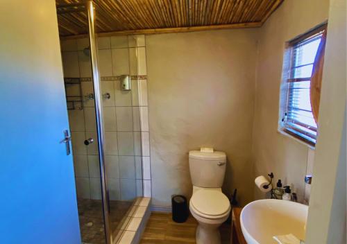 a bathroom with a toilet and a shower and a sink at Fossil Hills in McGregor