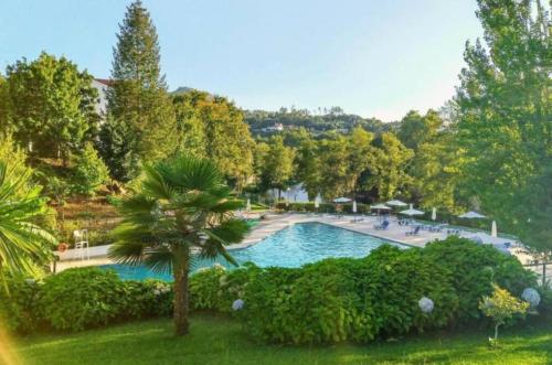 a swimming pool in a park with a palm tree at Special place in São Pedro do Sul in São Pedro do Sul