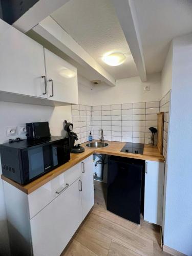 une petite cuisine avec un évier et un micro-ondes dans l'établissement Le Duplex Toulousain - Tram Métro - Centre ville, à Toulouse