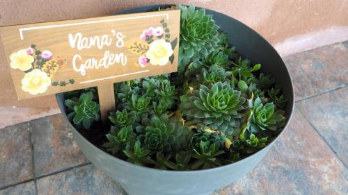 a pot of plants with a sign that says winners garden at Apartamentos Muralla Sacra in Sober