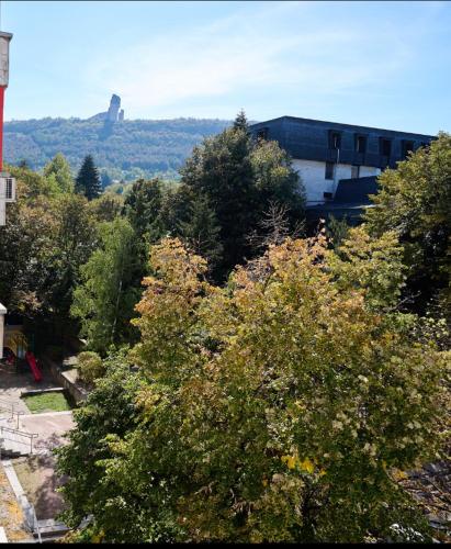 a group of trees with a building in the background at Center in Shumen