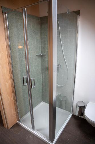 a glass shower in a bathroom with a toilet at La Dame Jeanne in Brakel