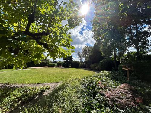 a park with a bench and trees and grass at Puur17 in Lommel