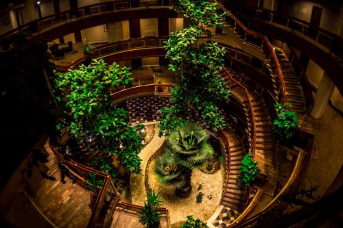Un jardín fuera de Hotel Drim & SPA
