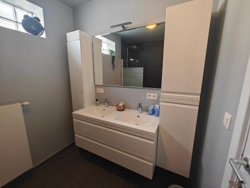 un bagno con lavandino e specchio di Casa Rosa Leuven a Herent