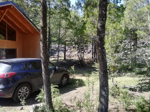 Zahrada ubytování Cabañas Lodge Patagonia truful