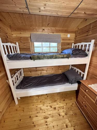 two bunk beds in a cabin with wooden floors at Lofoten Horizon, Fredvang in Fredvang