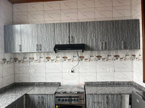 Η κουζίνα ή μικρή κουζίνα στο PECA APARTMENt