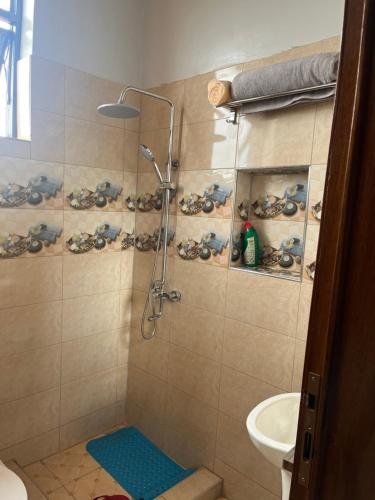 Ένα μπάνιο στο PECA APARTMENt