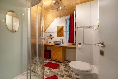 ein Badezimmer mit Dusche und Toilette in der Unterkunft Ferienhaus Störzel - Wohnung B in Hundheim