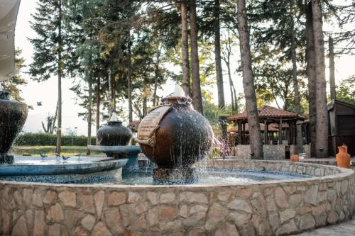Un jardín fuera de Hotel Drim & SPA