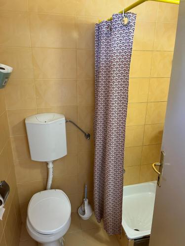 a bathroom with a toilet and a shower curtain at Sobe sa sopstvenim KUPATILOM Private rooms bathroom In CENTER in Novi Sad