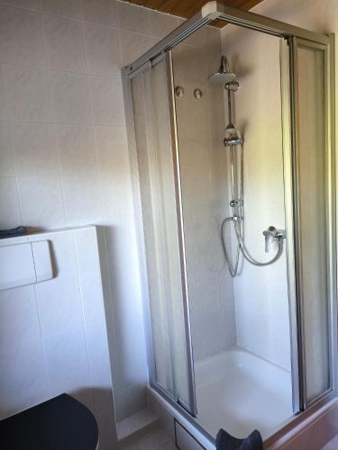 a shower with a glass door in a bathroom at Ferienwohnung Gabriel in Bad Kohlgrub