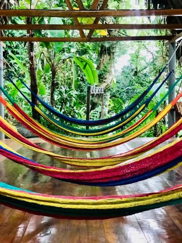 Fotografie z fotogalerie ubytování Palmeras del Río HOTEL v destinaci La Viña
