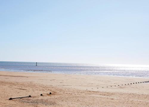 a group of birds sitting on the beach at Bridlington Holiday Cottages in Fraisthorpe