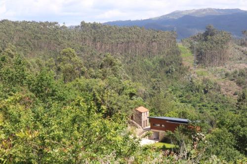 a house in the middle of a forest at Quinta do Chão do Vale in Sever do Vouga