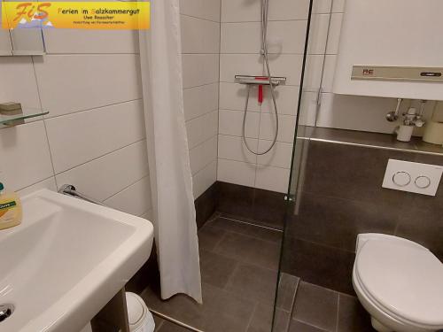 a bathroom with a shower and a toilet and a sink at Apartment Urlaubstraum in Bad Mitterndorf