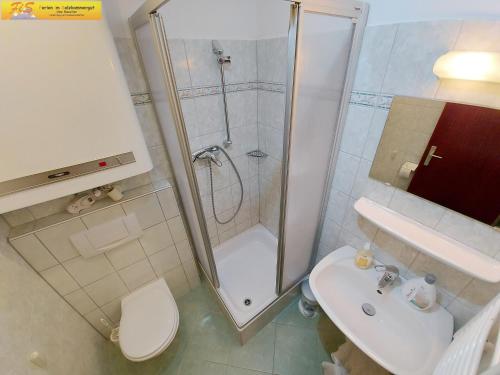 a bathroom with a shower and a toilet and a sink at Apartment Christina in Tauplitz