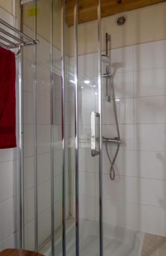 a shower with a glass door in a bathroom at Gîte La Peyrade d'Aubrac 6/8 personnes in Marchastel