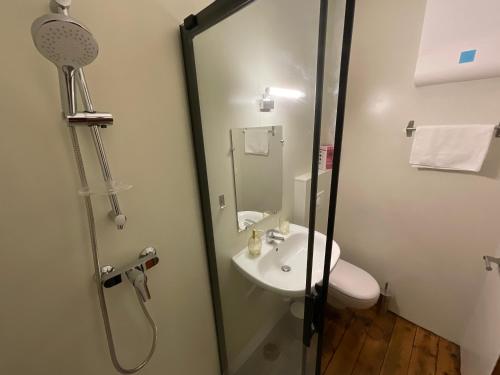 a bathroom with a shower and a sink at Tavarn Ty Gar in Hennebont