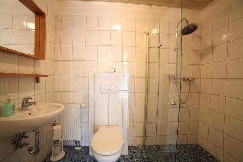 a bathroom with a shower and a toilet and a sink at Gästehaus am schmalen See UG haftungsbeschränkt in Lauchhammer