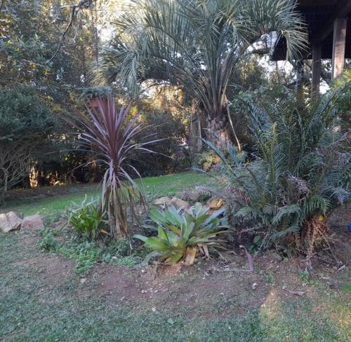 Zahrada ubytování Casinha da Serra com açude