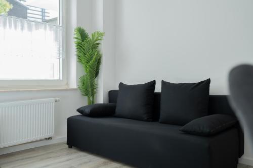 - un canapé noir dans un salon avec une plante dans l'établissement Business Apartment 5 Essen, à Essen