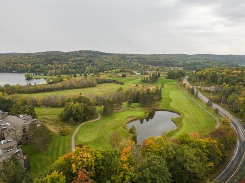 an aerial view of a golf course with a lake at MuskokaWaterfront PoolTable 98TV 6Acres in Huntsville