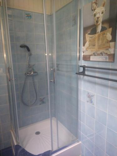 a shower with a glass door in a bathroom at La Bergeronnette Le Buisson in La Chapelle-Saint-André