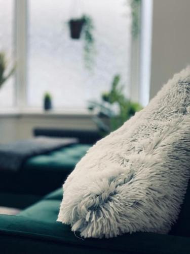 a white pillow sitting on top of a couch at Chapter One - Ashbourne in Mapleton
