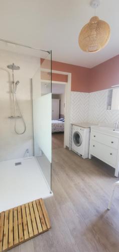a bathroom with a shower and a washing machine at Le Cabinet-Charmante maison avec terrain in Châtillon-sur-Seine