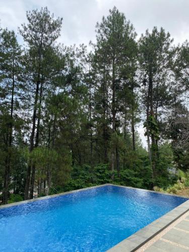 a blue swimming pool with trees in the background at Villa Harco 2 in Paragajen