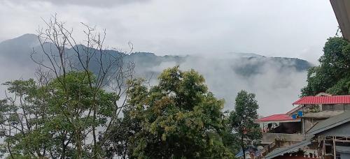 a group of trees in front of a mountain at Ronglyang Lotus Villa in Tādong