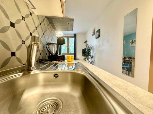 eine Küche mit einer Edelstahlspüle in der Küche in der Unterkunft Le Guillaumin, convivial et zen in Limoges