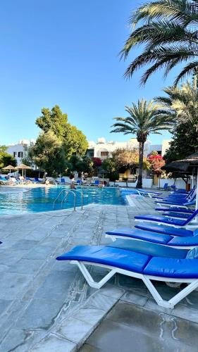 a row of blue lounge chairs next to a swimming pool at Paphos gardens studio suite in Paphos City