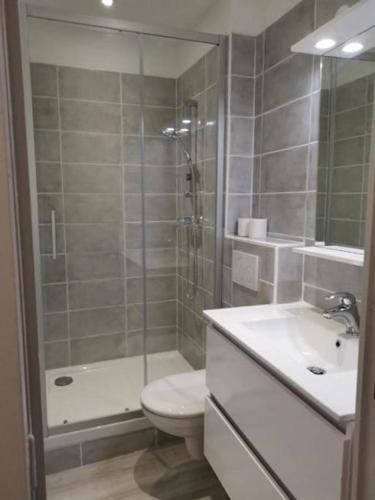 une salle de bain avec une douche, des toilettes et un lavabo dans l'établissement Appartement T1 centre ville Carmes Metz, à Toulouse