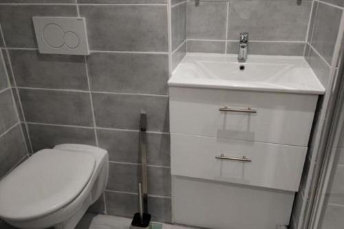 une salle de bain avec toilettes et lavabo dans l'établissement Appartement T1 centre ville Carmes Metz, à Toulouse