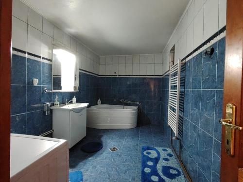 Bilik mandi di Casa Graur