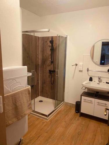 une salle de bain avec douche et lavabo dans l'établissement Appartement 4-6 pers - La Bourboule, à La Bourboule