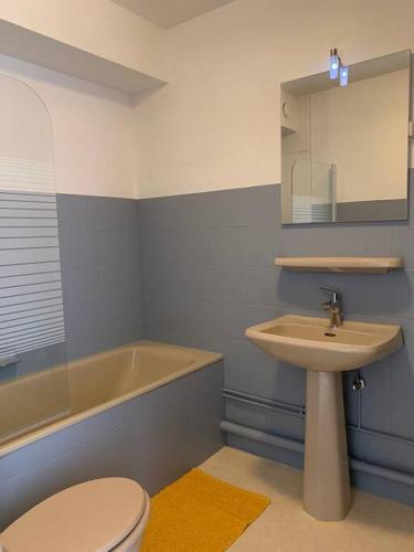 une salle de bain avec un lavabo, des toilettes et une baignoire dans l'établissement Studio 35 - centre ville, proche Bâle, à Saint-Louis