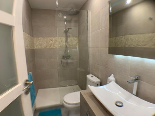 une salle de bain avec un lavabo, des toilettes et une douche dans l'établissement Charmant studio Croisette, à Cannes