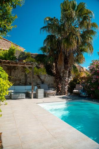 un palmier et une piscine dans une cour dans l'établissement Le Belvédère, à Sauzet