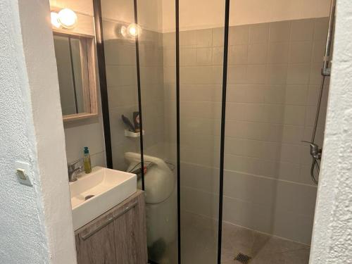 a bathroom with a shower and a sink at Studio Turkoise in Saint-François
