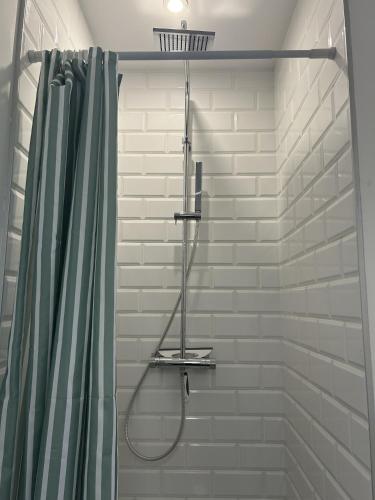 une salle de bain avec une douche avec un rideau de douche dans l'établissement Le Toulousain 202 - Appartement Cosy en Hypercentre - Quartier Jeanne d'Arc, à Toulouse