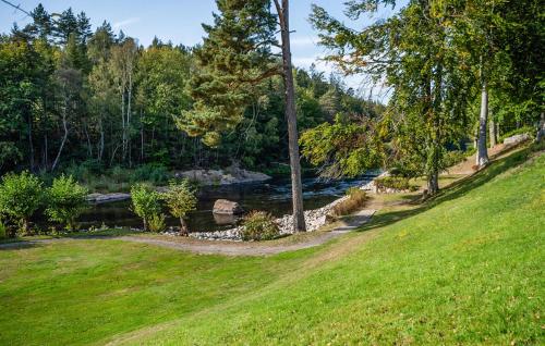 a grassy field next to a river with trees at Beautiful Home In Svängsta With Sauna in Svängsta