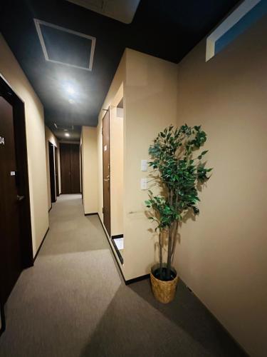 Fotografie z fotogalerie ubytování e-hostel 心斎橋 205 v Osace