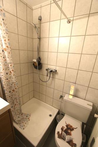a small bathroom with a toilet and a shower at Petit havre de paix! in Les Collons