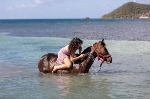 a young girl riding a horse in the water at Monasterio del Viento in Bahia Maracaibo