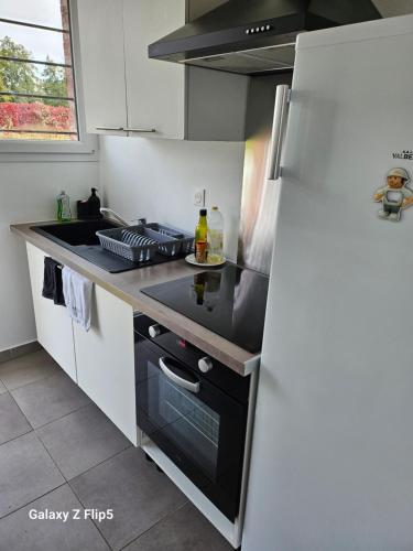  La cuisine est équipée d'une cuisinière noire et d'un réfrigérateur. dans l'établissement Magnifique Chambre Triple3, à Beauvais