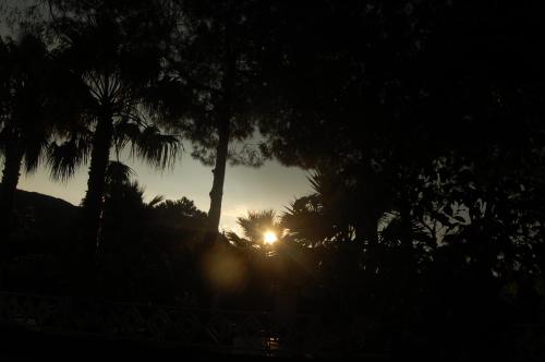 a sunset with palm trees and the sun in the sky at Hotel Al Togo Fitness & Relax in Vulcano